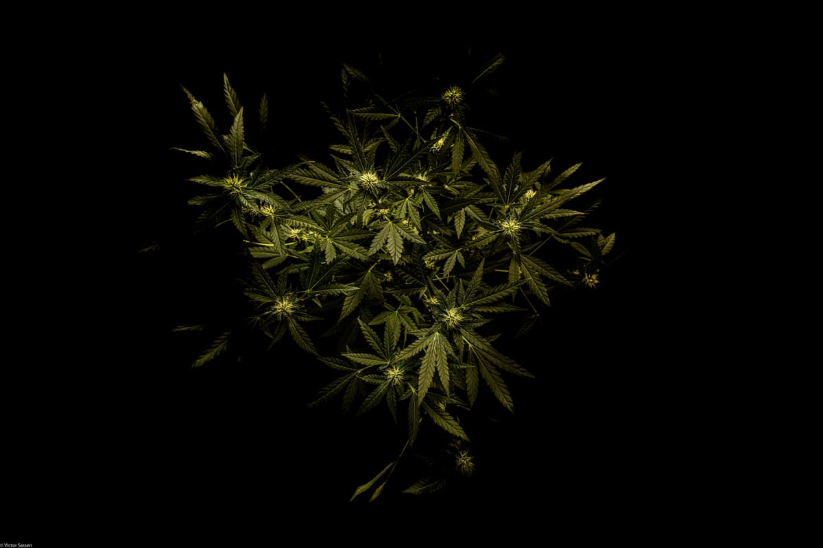 Ilustračné foto: Victor Sassen/flickr.com